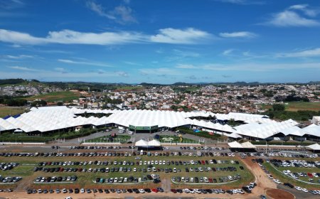 Cafeicultores do Sul de Minas e de SP estão de olho em negócios na Femagri 2026