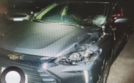 Pedestre atropelado por dois veículos na rodovia BR-146, em Muzambinho, segue internado em estado grave