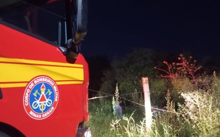 Equino atolado em terreno é resgatado pelos Bombeiros no interior de Minas