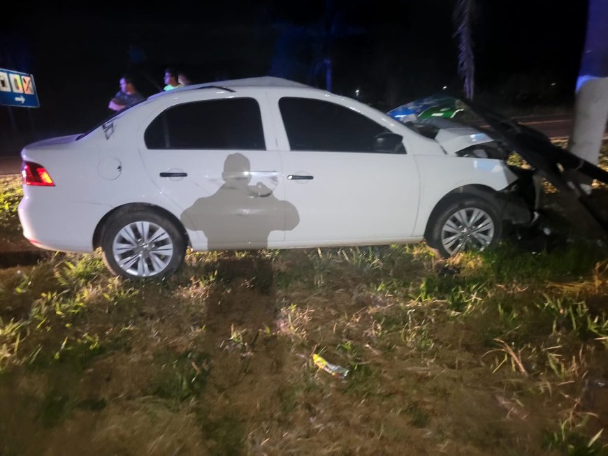 Motorista atropela cavalo e bate veículo em placa de sinalização na rodovia MG-290