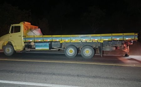 Após atropelar idoso, caminhoneiro bate em veículo ao realizar marcha a ré