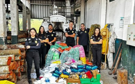 Polícia Civil incinera mais de 100 quilos de drogas no Sul de Minas
