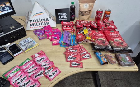 Operação conjunta das Polícias Civil e Militar prende autor de vários furtos em Poços de Caldas