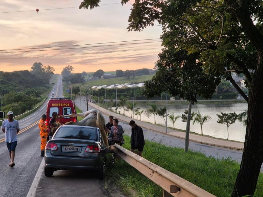 Cavalo morre atropelado em acidente na MG-050, no Sul de Minas