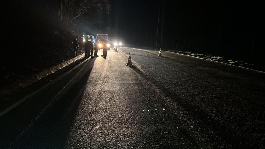 Após atropelar idoso, caminhoneiro bate em veículo ao realizar marcha a ré