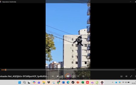Vídeo: Macaco faminto invade escola e rouba saco de pães de queijo em Poços de Caldas