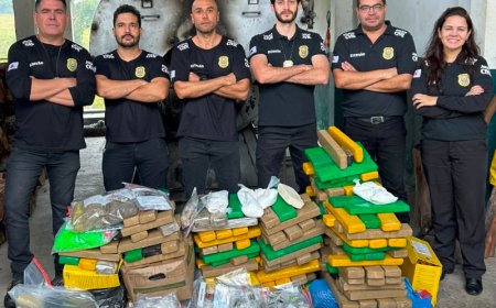 Mais de 150 quilos de drogas apreendidas no Sul de Minas são incinerados