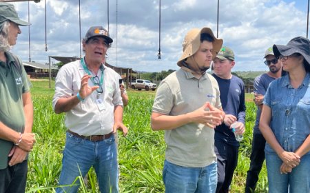 BDMG abre inscrições para capacitação gratuita em agricultura regenerativa com foco em cultivo de grãos