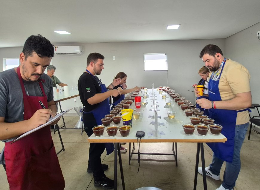 Abertas as inscrições para o Concurso de Qualidade dos Cafés de Minas Gerais 2026