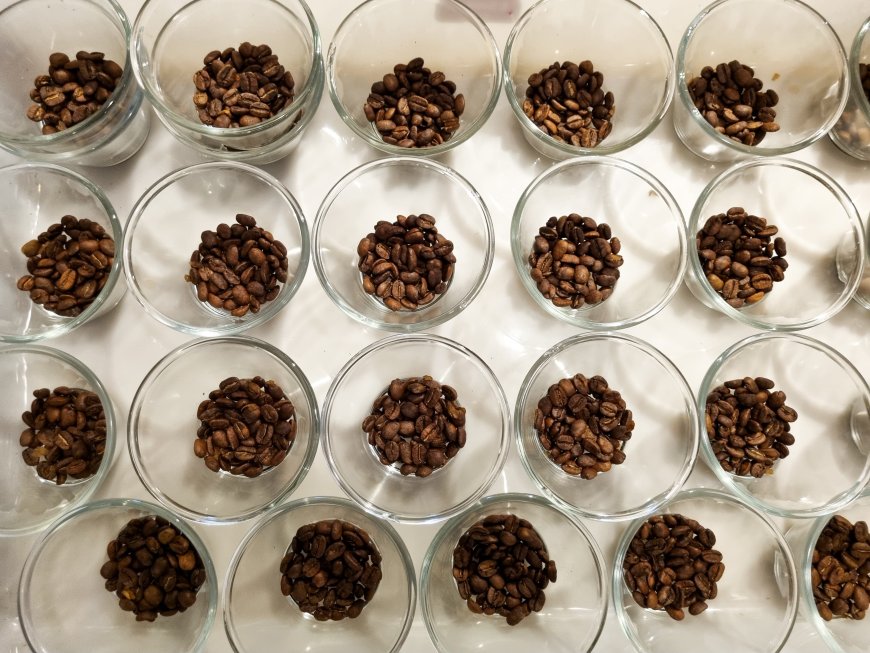 Abertas as inscrições para o Concurso de Qualidade dos Cafés de Minas Gerais 2026