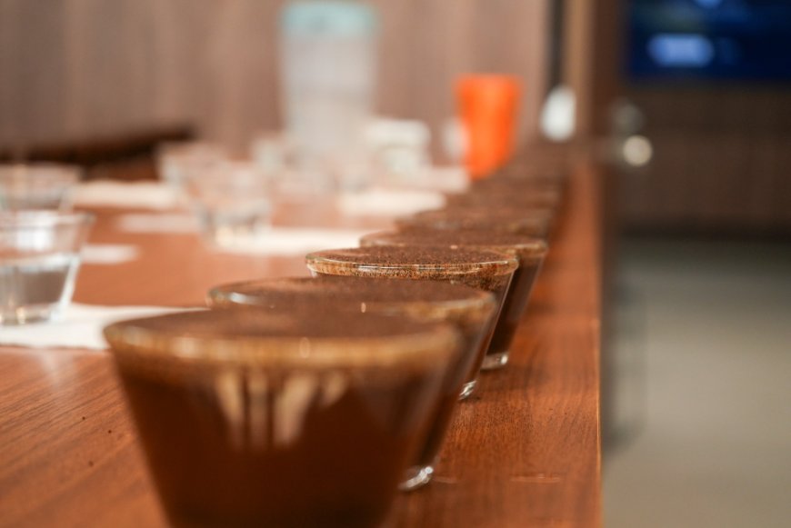 Especialíssimo 2026 abre seleção para os melhores cafés produzidos pelos cooperados da Cooxupé