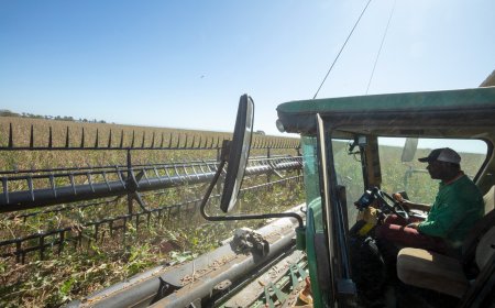 BDMG anuncia R$ 3 bilhões em créditos para a nova safra 2026/2027 e passa a financiar a agricultura familiar no estado