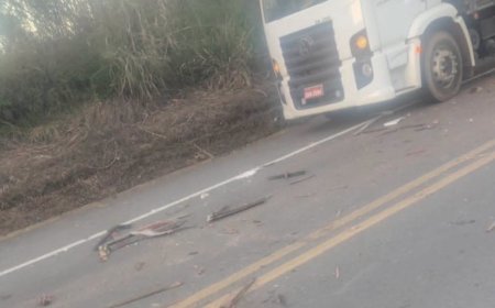 Acidente entre micro-ônibus e caminhão deixa dois feridos na MGC-491