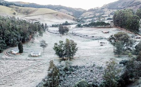 Temperaturas continuam baixas e Sul de Minas enfrenta geada durante a madrugada