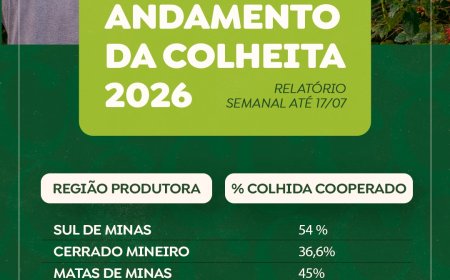 Colheita de café na área de atuação da Cooxupé alcança 47,3%