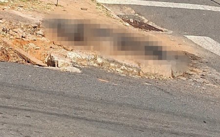 Tragédia em Passos: cadela é queimada viva em crime ligado à violência doméstica
