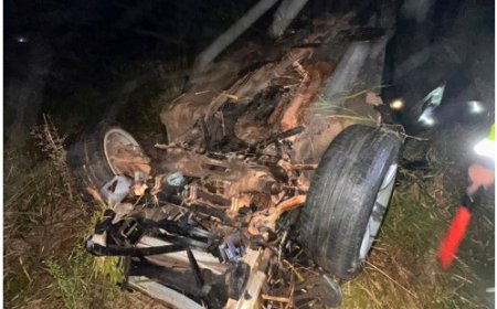 BMW capota após colidir com carro de boi na MG-290, no Sul de Minas