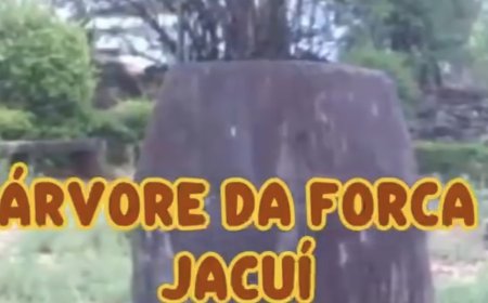 Vídeo: A Árvore da Forca de Jacuí - memória, justiça e lenda no Sul de Minas