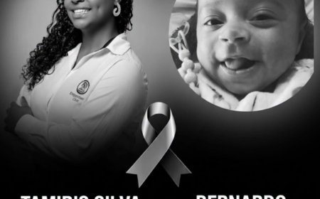 Jovem de 24 anos e bebê de três meses morrem em grave acidente na BR-265