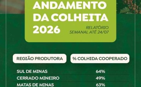 Colheita de café na área de atuação da Cooxupé alcança 58,3%