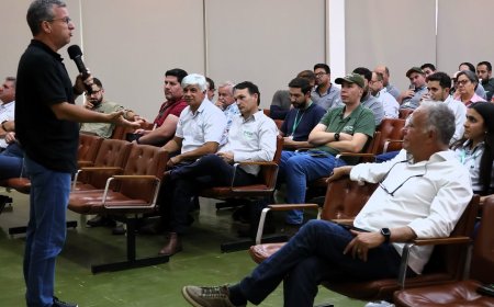 Safra de café mantém bom desempenho, mas El Niño acende alerta para 2027, aponta Fórum Técnico da Cooxupé