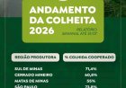 Colheita de café na área de atuação da Cooxupé atinge 67,3%