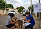 São João da Boa Vista confirma 1º caso de raiva canina em 30 anos; animal não era vacinado