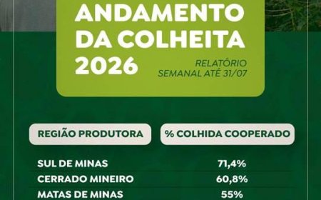 Colheita de café na área de atuação da Cooxupé atinge 67,3%