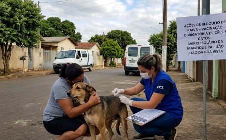 São João da Boa Vista confirma 1º caso de raiva canina em 30 anos; animal não era vacinado
