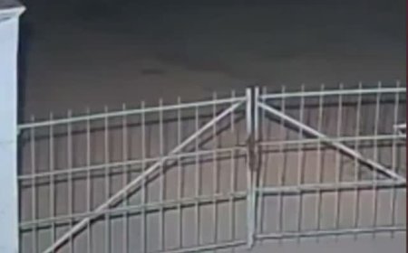 Vídeo: condutor inabilitado perde o controle e capota veículo na zona rural de Nova Resende