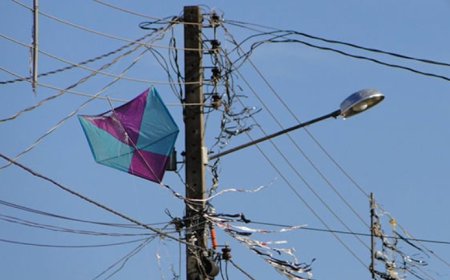 Pipas deixam mais de 313 mil clientes sem energia em Minas Gerais no 1º semestre de 2026