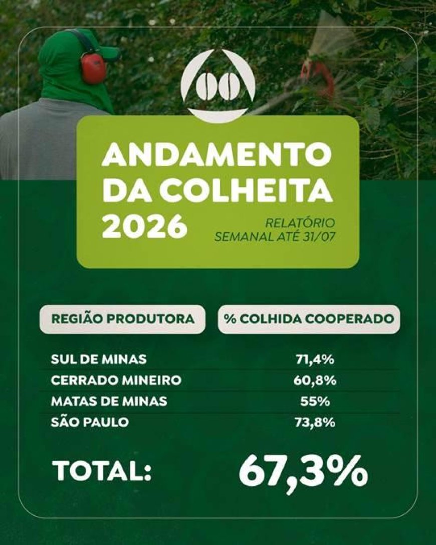 Colheita de café na área de atuação da Cooxupé atinge 67,3%