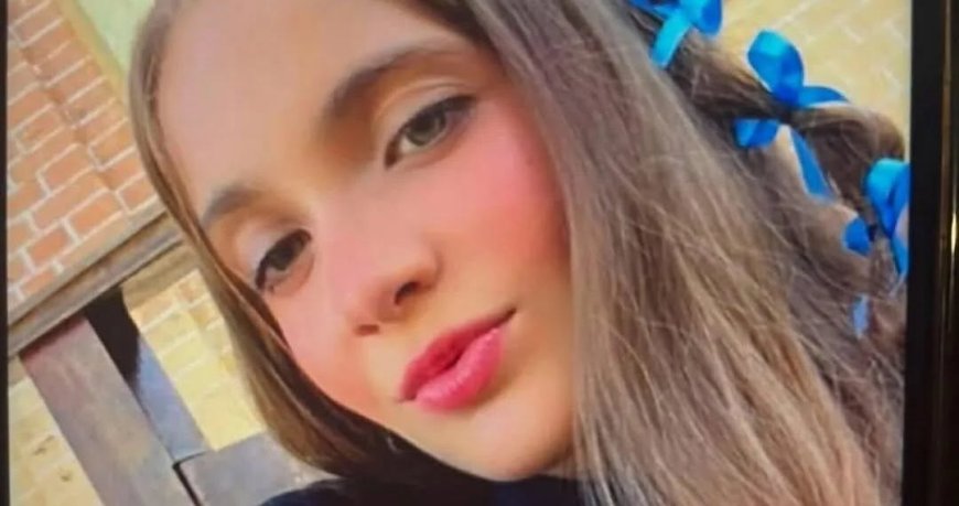 Urgente: saiba como ajudar nas buscas pela adolescente Julia Arf de Souza Franco, que está desaparecida desde o dia 3