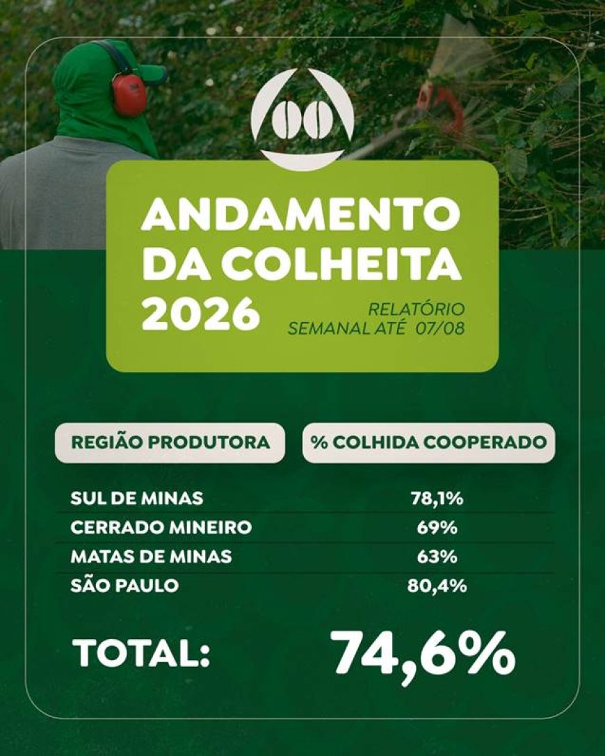 Colheita de café na área de atuação da Cooxupé registra 74,6%