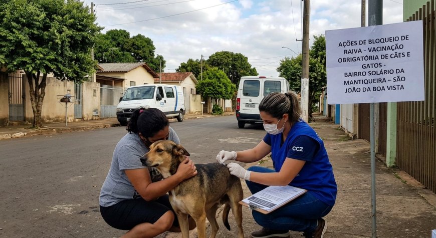 São João da Boa Vista confirma 1º caso de raiva canina em 30 anos; animal não era vacinado