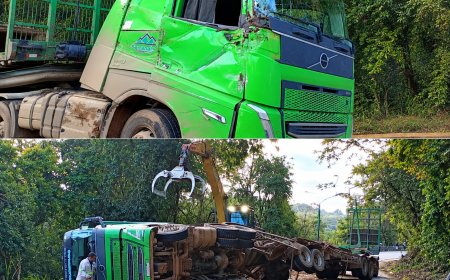 Acidente na MGC-383: caminhão com toras de madeira tomba no km 268