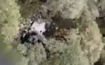 Vídeo mostra buscas e localização do helicóptero do cantor Rick e mais quatro passageiros