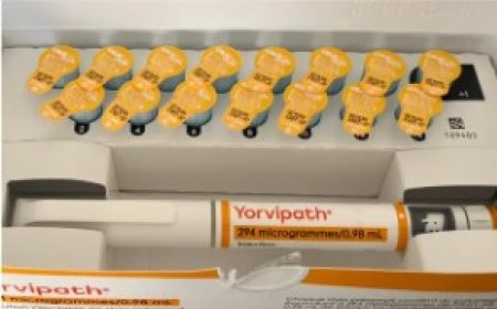 Anvisa registra novo medicamento que repõe hormônio em até 24 horas para tratar doença rara em adultos