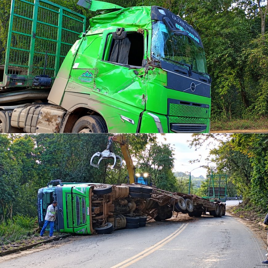 Acidente na MGC-383: caminhão com toras de madeira tomba no km 268