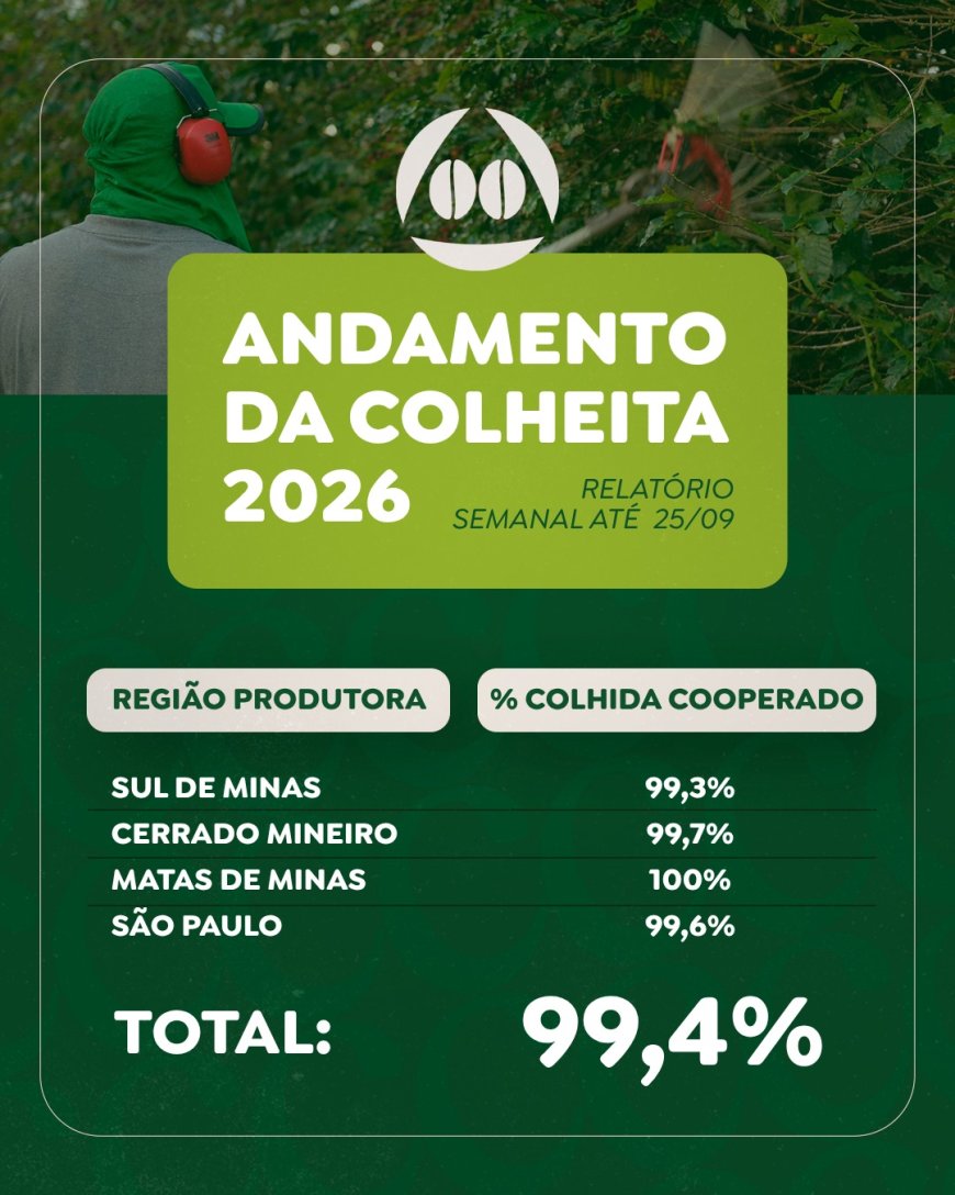 Último boletim da Cooxupé aponta 99,4% da colheita de café