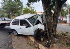 Motorista de 59 anos fica ferida após colidir carro contra árvore em São José do Rio Pardo