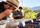 Concurso destaca qualidade dos cafés produzidos no Sudoeste de Minas