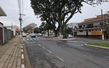 Prefeitura de Guaxupé investirá R$ 1,18 milhão em revitalização dos canteiros da Avenida Dona Floriana