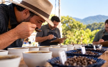 Concurso destaca qualidade dos cafés produzidos no Sudoeste de Minas