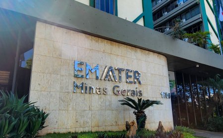 Emater-MG está com inscrições abertas para concurso com 120 vagas