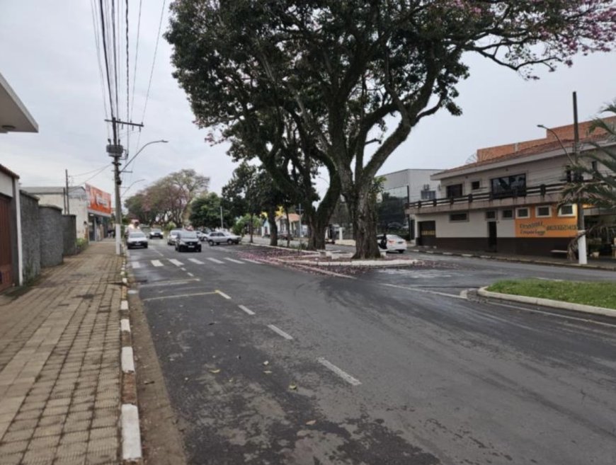 Prefeitura de Guaxupé investirá R$ 1,18 milhão em revitalização dos canteiros da Avenida Dona Floriana