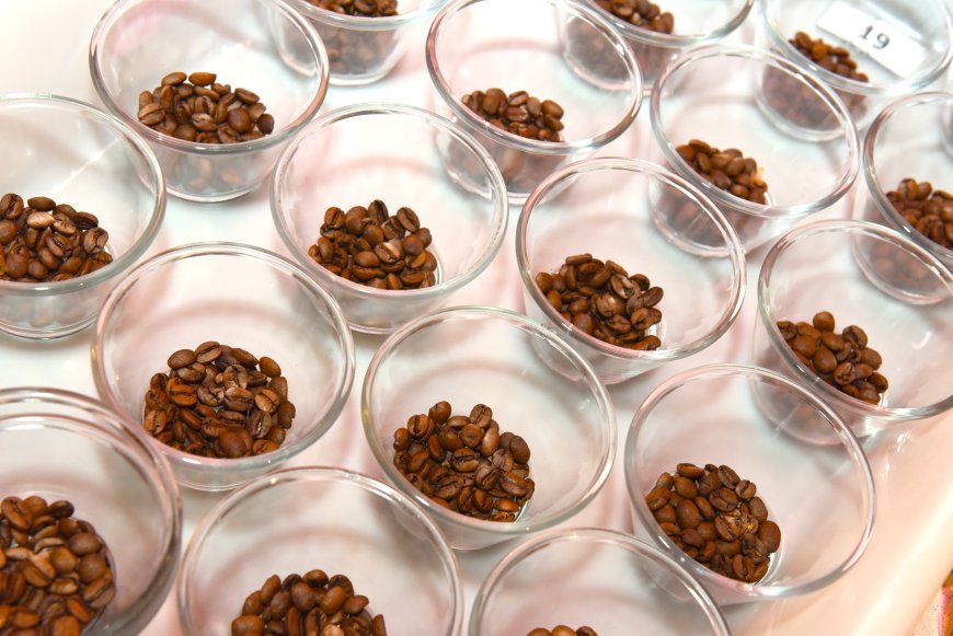 Concurso de Qualidade dos Cafés de Minas Gerais bate recorde com quase 2 mil amostras inscritas