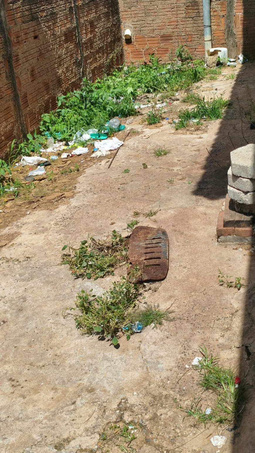 Tutor é preso por maus-tratos a Pitbulls em Monte Santo