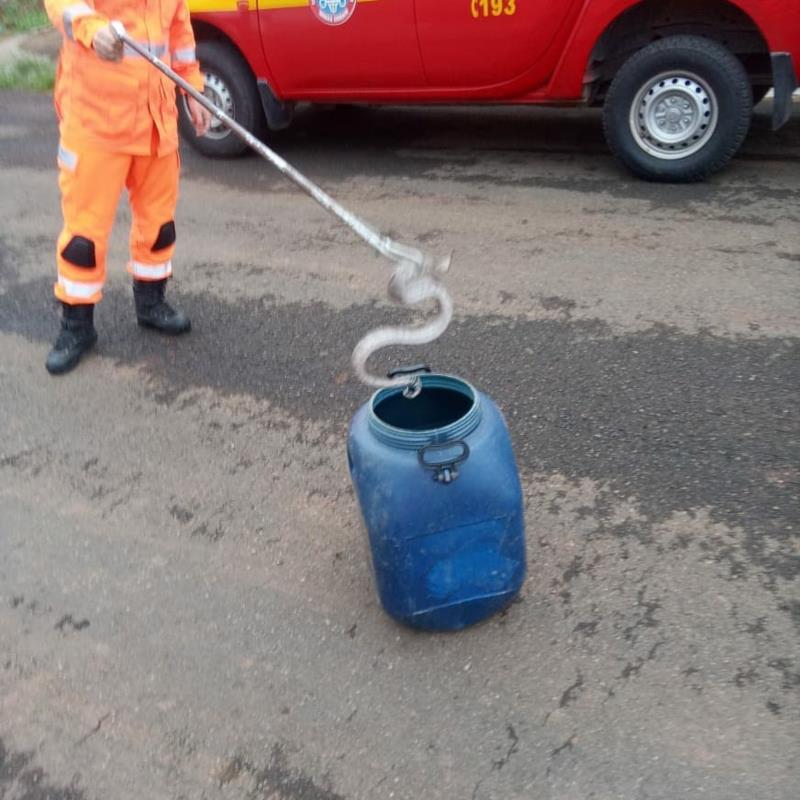 Bombeiros capturam jiboia no Jardim Primavera, em Guaxupé